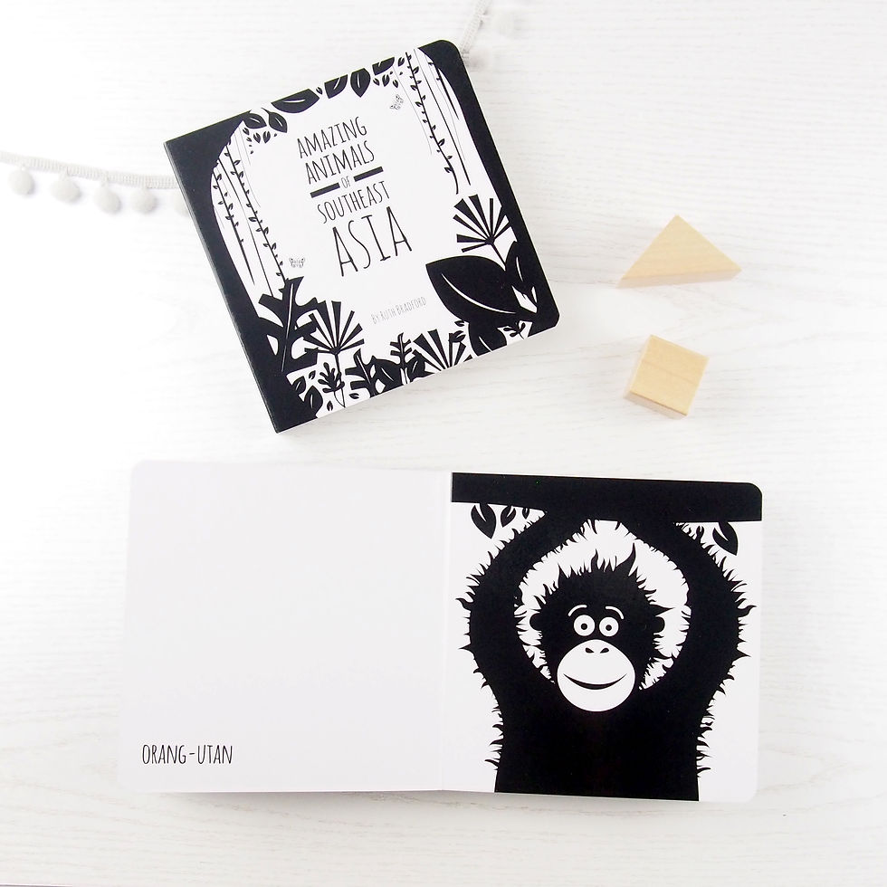 Thumbnail: black and white book project baby sensory book southeast Asia from Seb and I