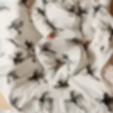 Fox and Lottie organic baby blanket in the adorable puffin print at Seb and I