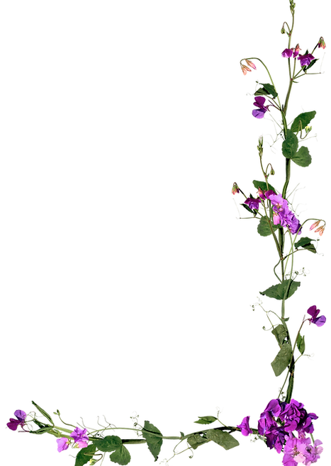 FloralBorder_Purple.png