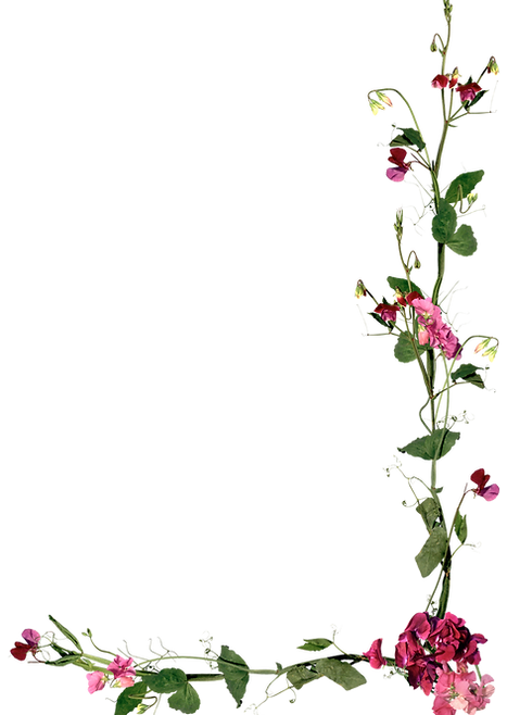 FloralBorder_BrightPink.png