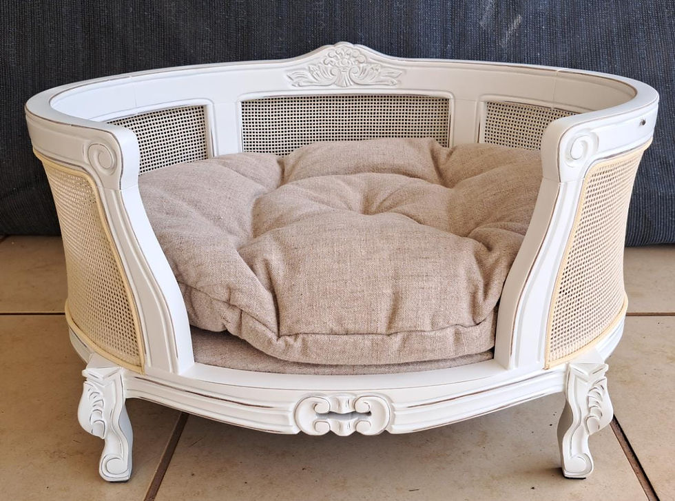 Miniatura: Caminha Pet Luiz XVII