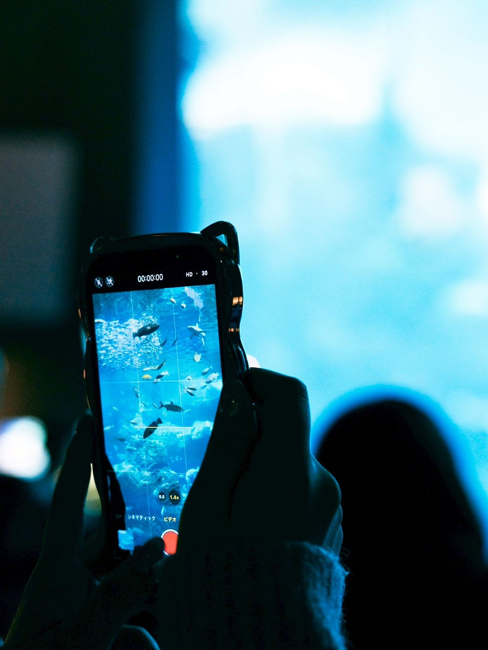 【撮影会】10月新江ノ島水族館撮影会について