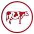 icons.png