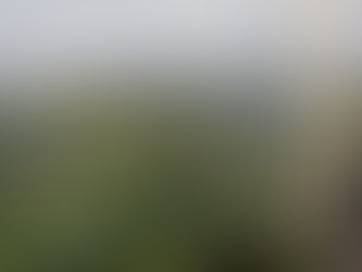 157話 신들린 아재개그 -남방학개론4