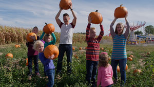 Harvest Tyme Pumpkin Patch