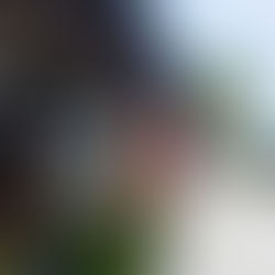 Explore the Shore: New Buffalo, MI