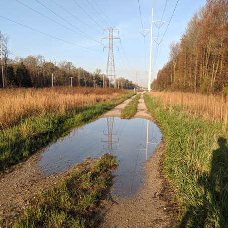 Help Make the Calumet Trail Another Dunes Treasure.