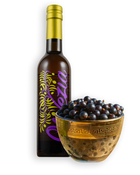 Our yummy black currant balsamic