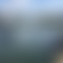 Harbor Country Adventures adds WaveRunners to its fleet of fun.