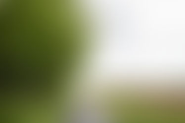 Bluhm County Park - Lincoln Memorial Trail—Lincoln Memorial Trail