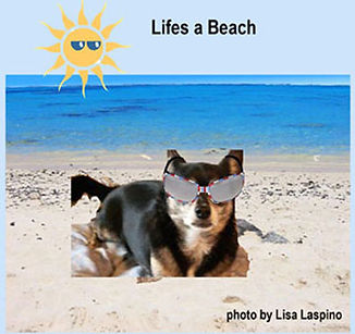 Lifes_a_Beach.jpg