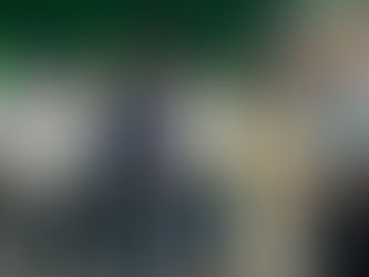 SONHO DA PONTE ENTRE JOINVILLE E VILA DA GLÓRIA UM POUCO MAIS PRÓXIMO DE SER REALIZADO