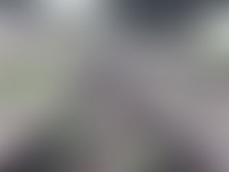 Ferrovias em Santa Catarina e Itapoá: quais os planos?