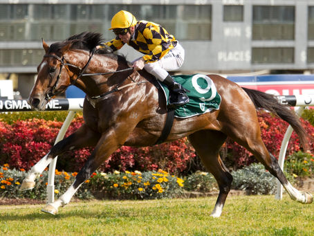 ▶️La bonne breeding news du jour🐴
