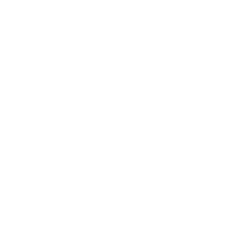 film-white.gif