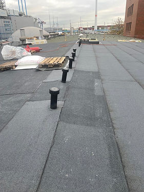 image5 (002).jpeg