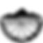 infoaventura-logo-espalda-blanc.jpg