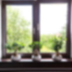Doppelfenster mit dunklem Rahmen und 3 dekorativen Pflanzen am Fensterbrett