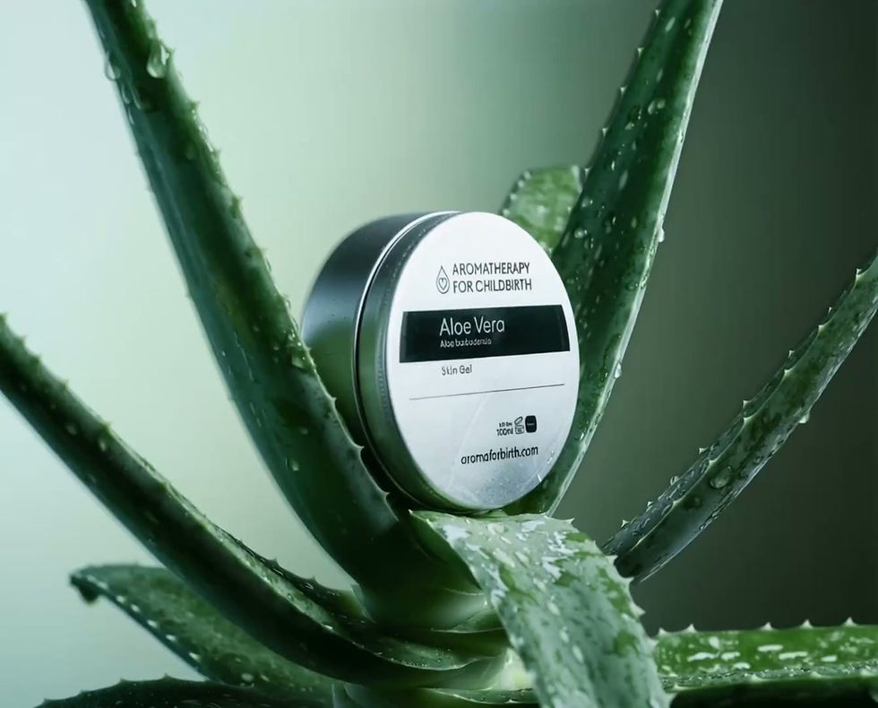 Thumbnail: Aloe Vera Gel - 100ml