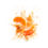 Thumbnail: Organic MANDARIN - 10ml Pure Essential Oil