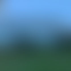 Photo of the house from outside