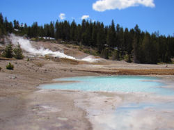 Norris Geyser YNP