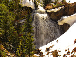 Golden Gateway Waterfall YNP