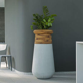 Original outdoor planters, Luxury outdoor planters, garden planters, indoor outdoor planters, Original outdoor planters dubai, Luxury outdoor planters duabi, garden planters dubai, indoor outdoor planters dubai, Indigenus Planters Dubai, Indigenus Planters ABu Dhabi, Indigenus Planters Soma Doha, Indigenus Planters Soma Qatar, Indigenus Planters Soma KSA, Indigenus Planters Soma Jeddah, Indigenus Planters Soma Bahrain, Indigenus Planters Soma Jordan, Indigenus Planters Soma Lebanon, Indigenus Planters Soma Kuwait, Indigenus Planters Soma Bahrain, Indigenus Planters Soma Beirut, Indigenus Planters Soma UAE