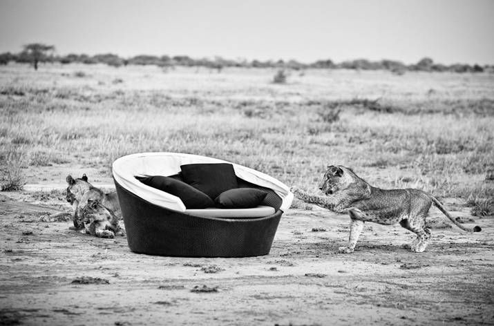 DEDON Outdoor Furniture, Dubai, Abu Dhabi. Dedon lighting, DEDON Doha, Dedon Qatar, DEDON KSA, DEDON Bahrain, DEDON KUWAIT, DEDON sofa, Dedon chair, Dedon daybed, The outdoor furniture collection includes furniture, garden chairs, garden tables, outdoor daybeds, lounge seating, chaise lounge, outdoor benches, parasols & pool umbrellas, modern patio furniture sets