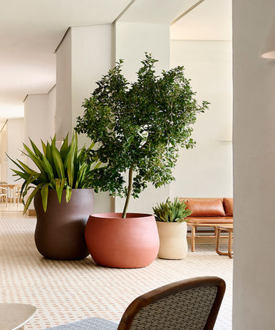 Indigenus Pebble, Indigenus pebble Designed by Yabu Pushelberg, Yabu Pushelberg Dubai, Yabu Pushelberg Planter, Yabu Pushelberg Planter Product, Yabu Pushelberg Planter Dubai, Iconic Planters, Orginal Planter, Luxury Planters, Best outdoor planters, best outdoor planters Dubai