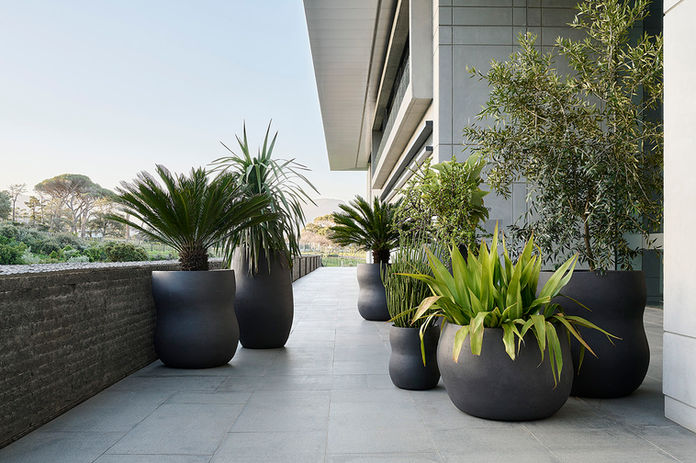 Indigenus pebble Designed by Yabu Pushelberg, Yabu Pushelberg Dubai, Yabu Pushelberg Planter, Yabu Pushelberg Planter Product, Yabu Pushelberg Planter Dubai, Iconic Planters, Orginal Planter, Luxury Planters, Best outdoor planters, best outdoor planters Dubai
