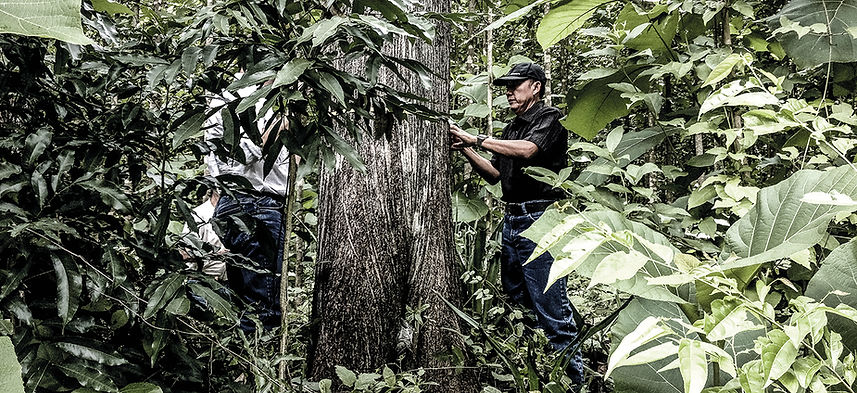 GLOSTER The Teak Story