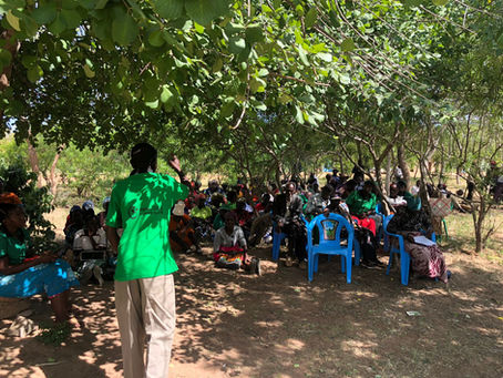 Verifying Large-Scale Tree Restoration with Drones: The Kitui case 