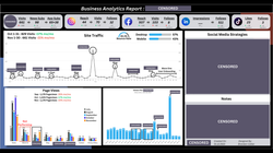 Business Analytics Monthly Report