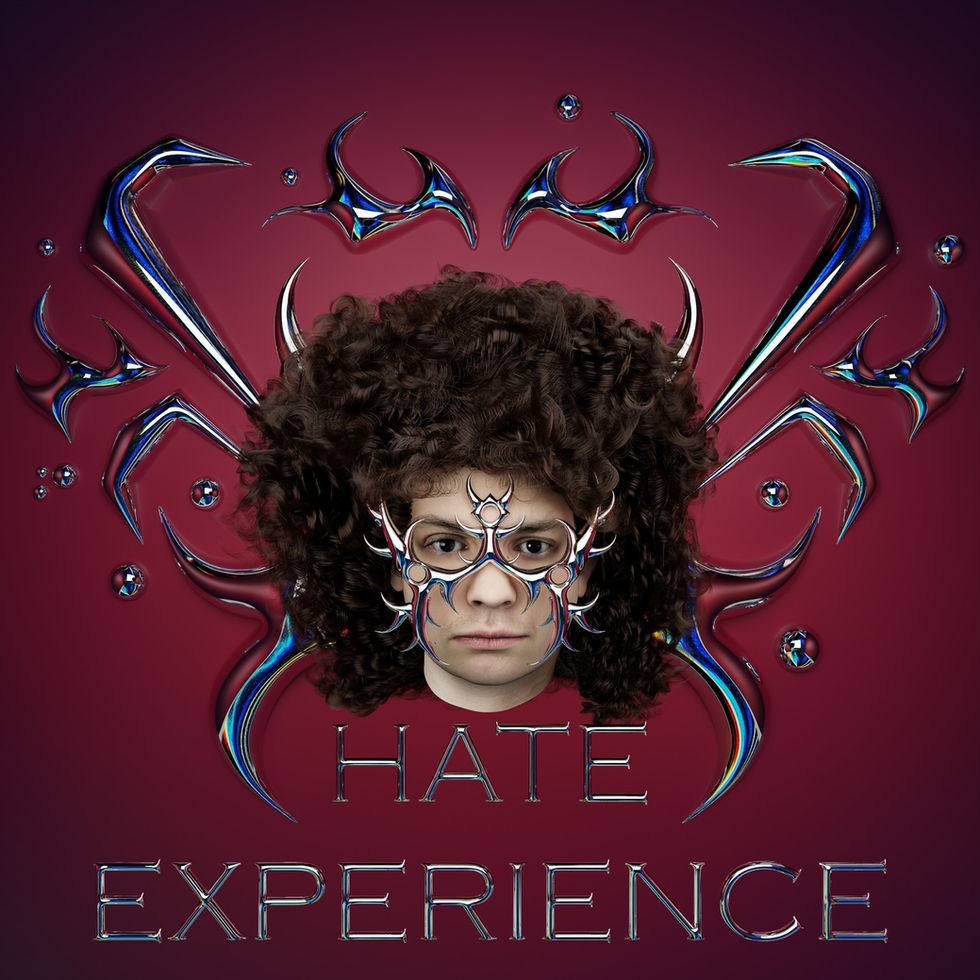 The Hate Experience