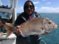 Big Snapper Auckland fishing