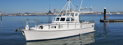 Riko Boat Charter Classic style Launch