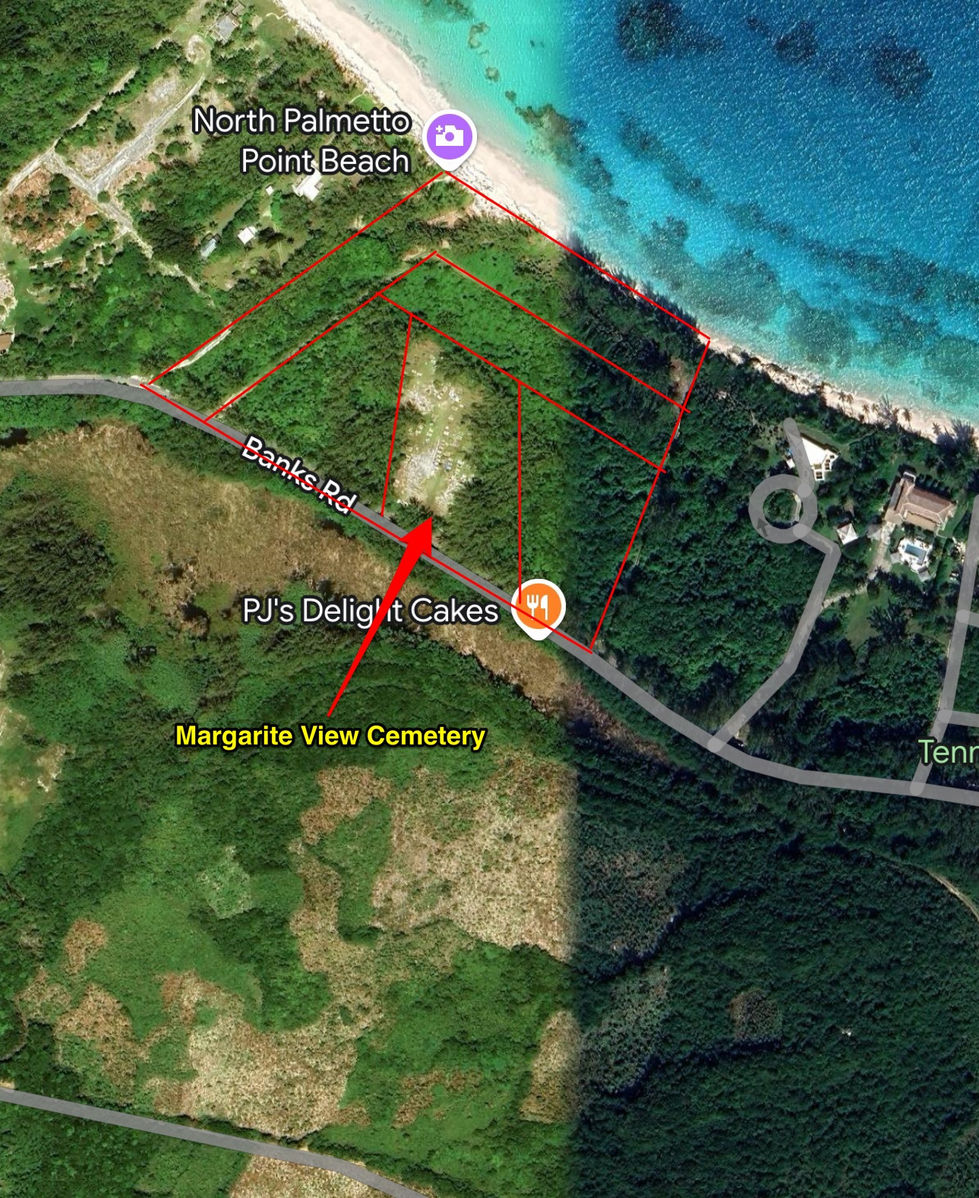 Sectioned Plot - Palmetto Point .JPG