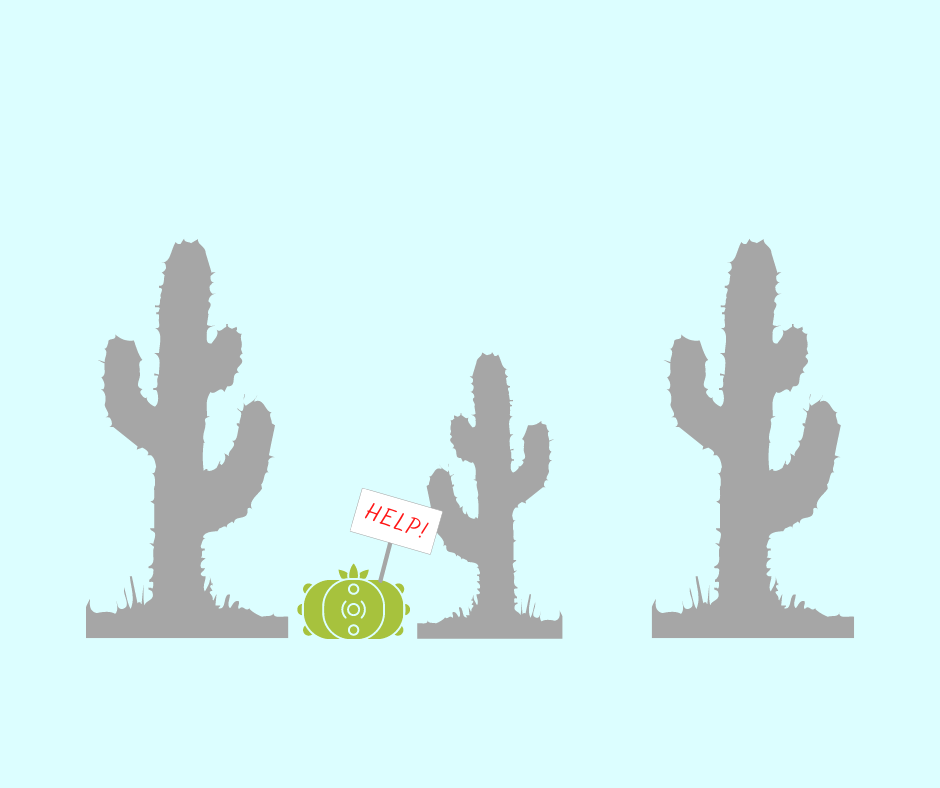 Blog cover photo from Peyote Lab. Why is peyote rare?