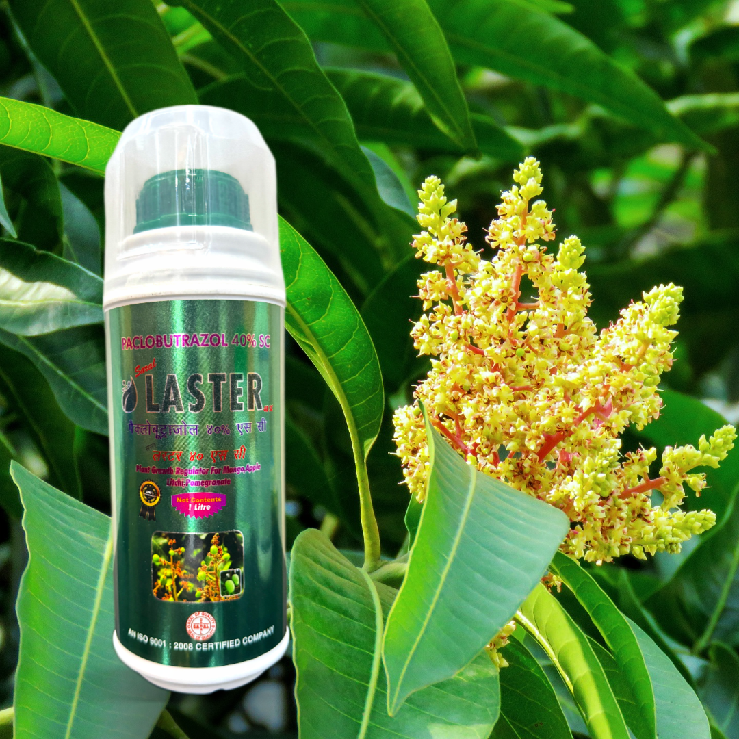 Saral Laster | Paclobutrazol 40% SC