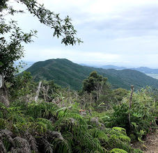 叶嶽・高知山.jpeg