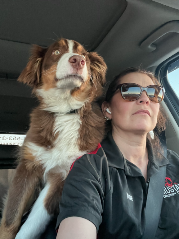 Earling Hills Ranch Quarter Horse and Australian Shepherd Breeder