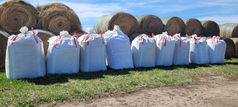 Bulk bags of compost