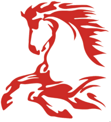 Writer: Mustang Team Member