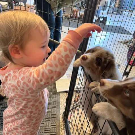 child and puppies.webp