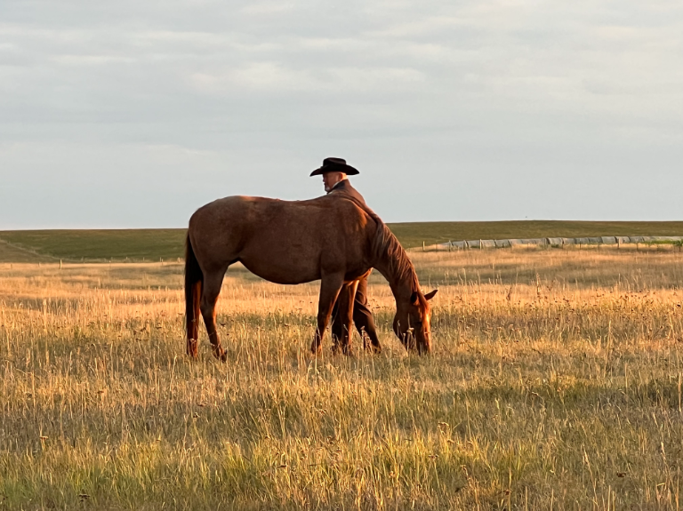 Earling Hills Ranch Quarter Horse and Australian Shepherd Breeder Presho, SD