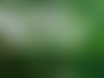 Local Roots, Lasting Impact