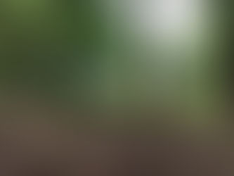 野営場整備を行いました