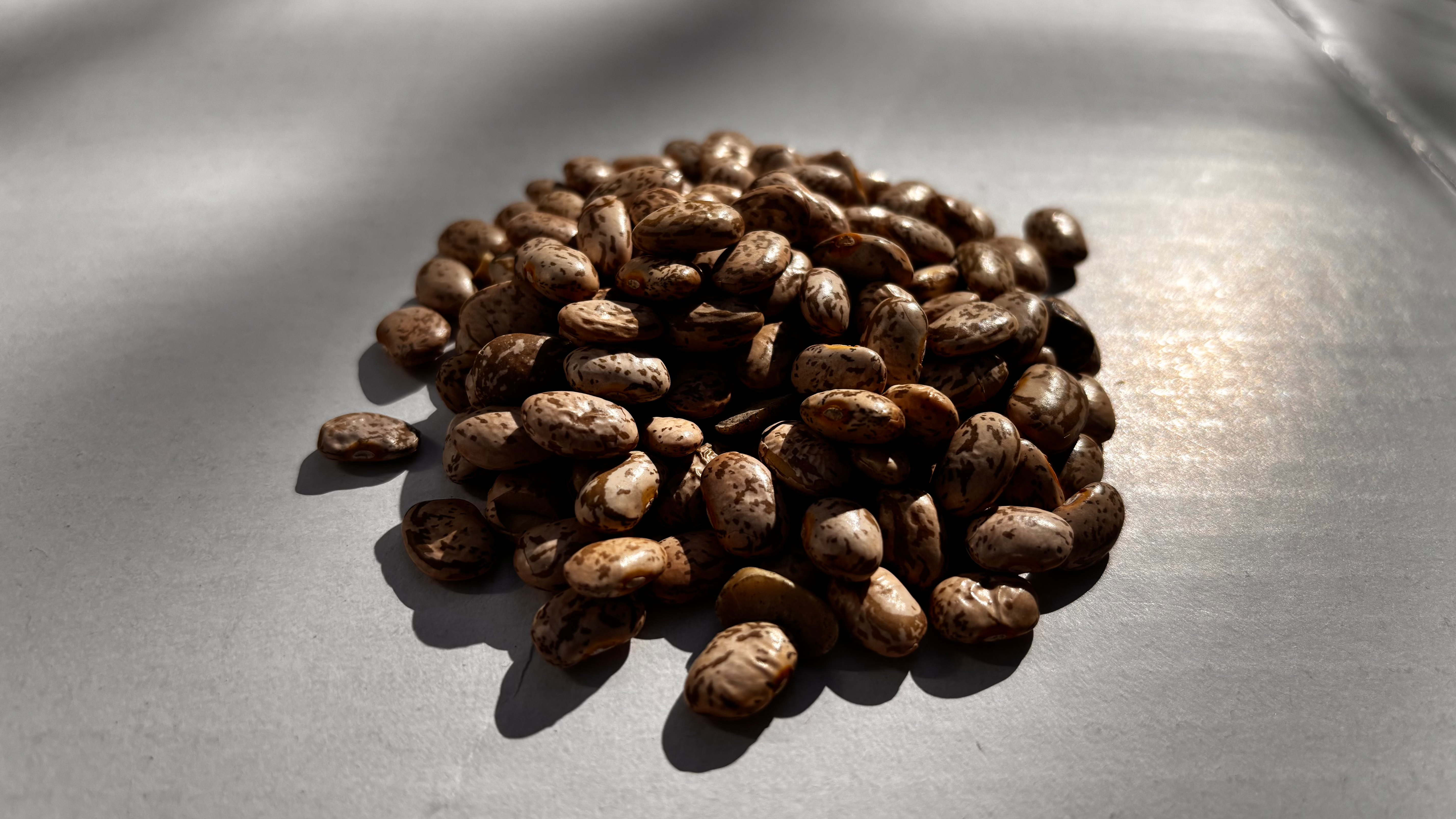 Frijol Pinto de Montaña