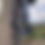 Thumbnail: Grand Prix Pro-Techfit Bridle
